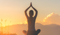 Lợi ích mà yoga mang lại cho hệ tiêu hóa